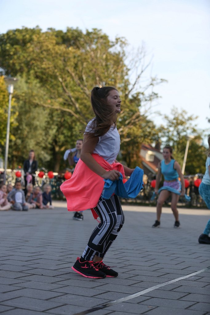 Schoolplein Festival B 219.jpg